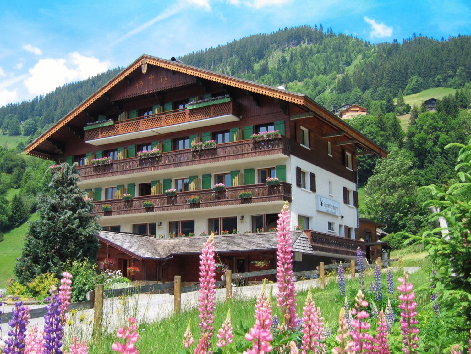 Esprit Montagne Hotel Abondance Екстериор снимка